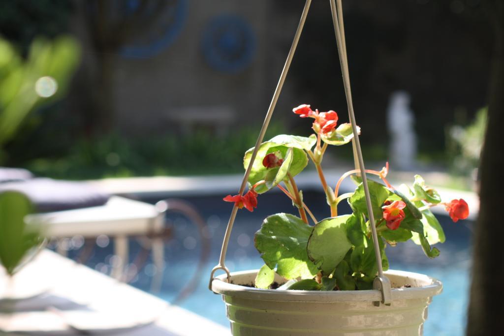 L'Abri Du Poete Bed & Breakfast Besse-sur-Issole Exterior photo