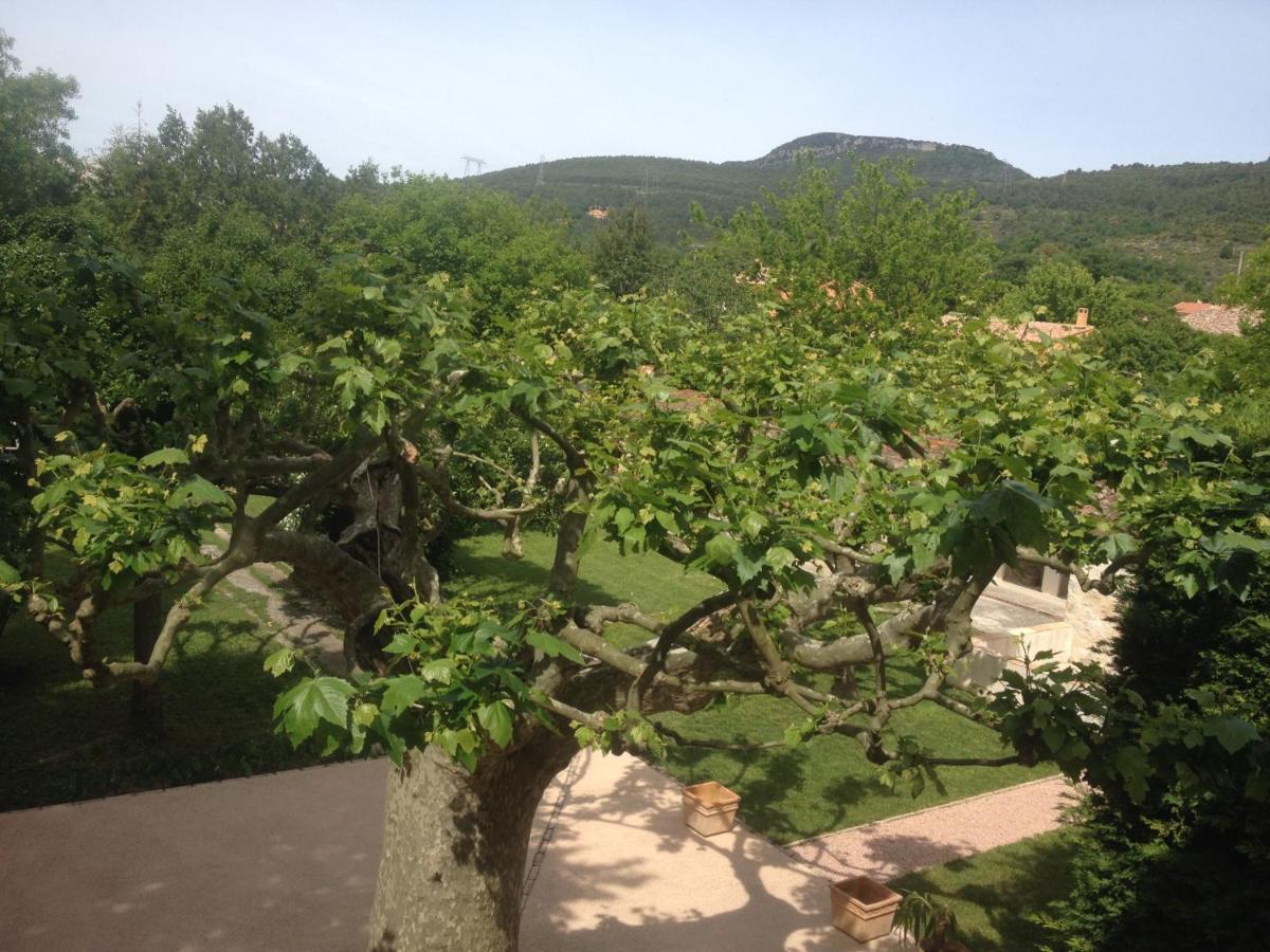 L'Abri Du Poete Bed & Breakfast Besse-sur-Issole Room photo