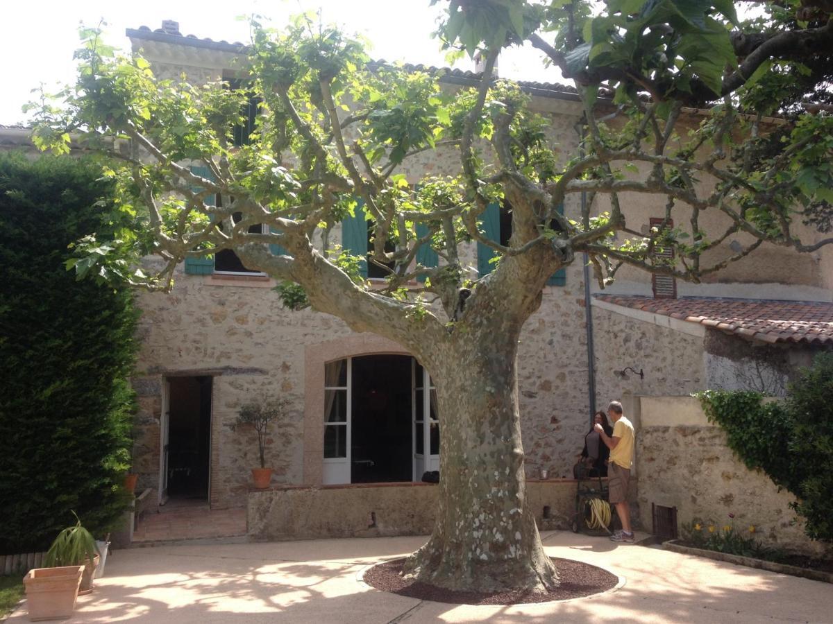 L'Abri Du Poete Bed & Breakfast Besse-sur-Issole Exterior photo